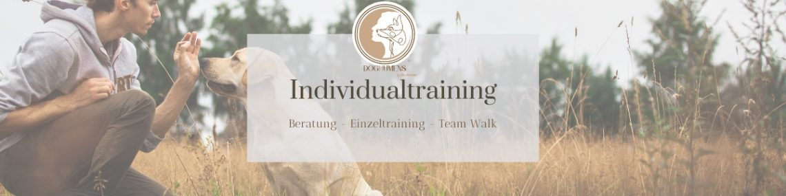 Einzeltraining und Beratung