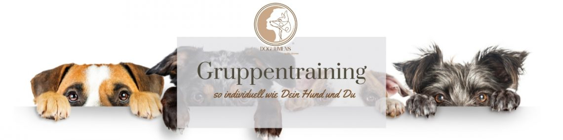 Gruppentraining